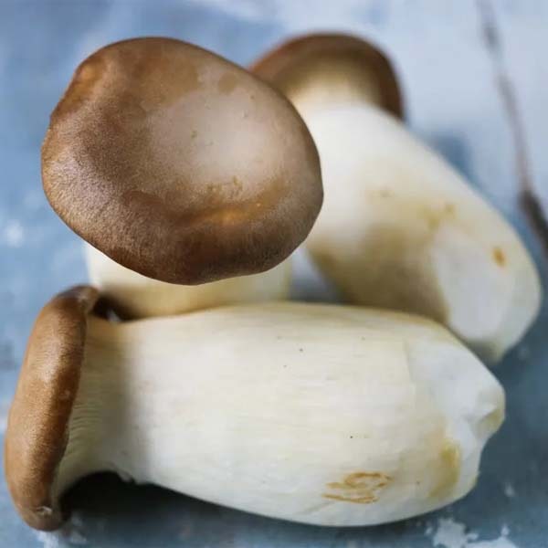 Funghi Cardoncelli Interi FRESCHI